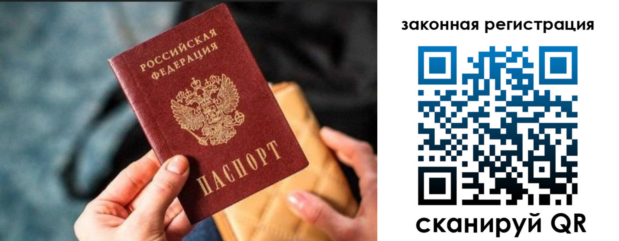 временная регистрация гарантия в Светлом